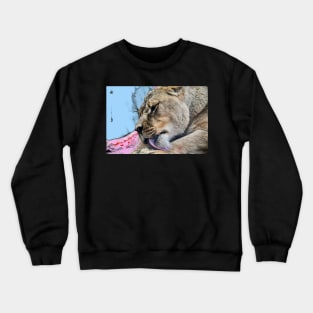 Lion / Swiss Artwork Photography Crewneck Sweatshirt